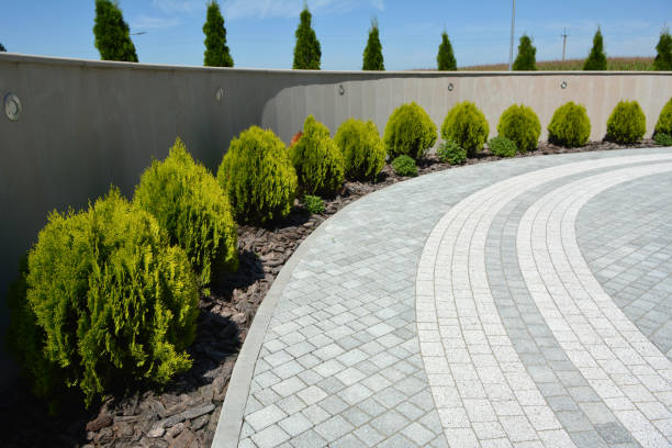 Best Decorative Driveway Pavers  in Amboy, IL