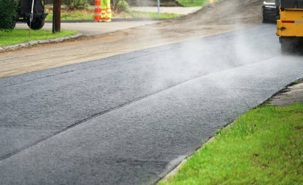 Best Custom Driveway Pavers  in Amboy, IL